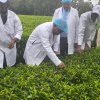 AMBASSADOR SIANGA ABÍLIO VISITS THE CITY OF KERICHO